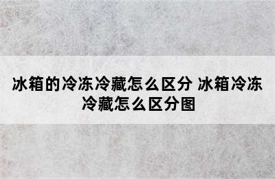 冰箱的冷冻冷藏怎么区分 冰箱冷冻冷藏怎么区分图